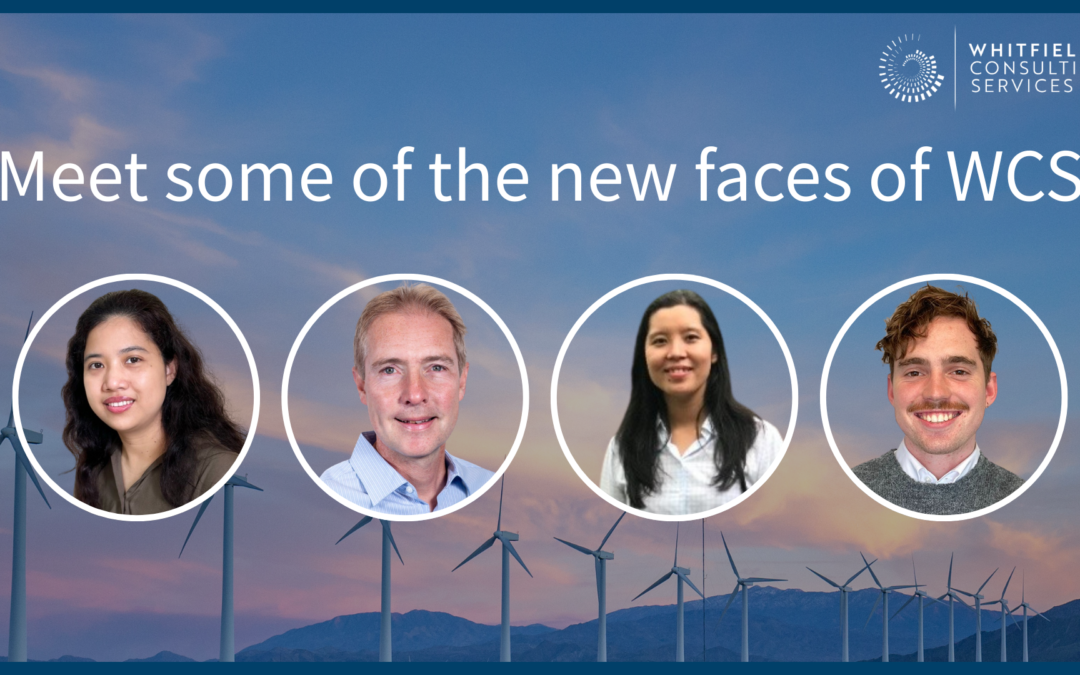 Meet some of the new faces of WCS: Celebrating growth and expertise in civil engineering