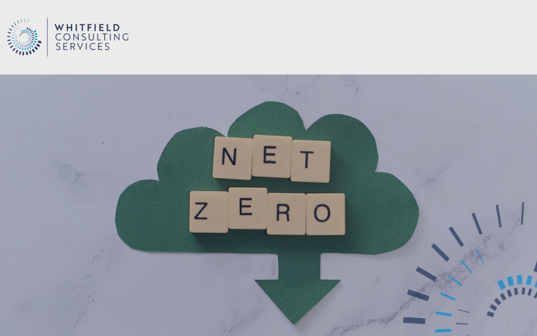 Can engaging with net zero be a benefit and not a cost?