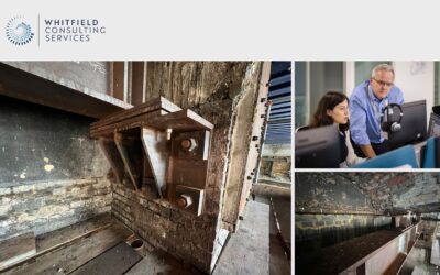 Spotlight on temporary works for bridges & structures