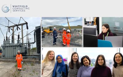 Celebrating women in engineering: voices and achievements from the WCS team – part two